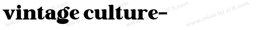 vintage culture字体转换